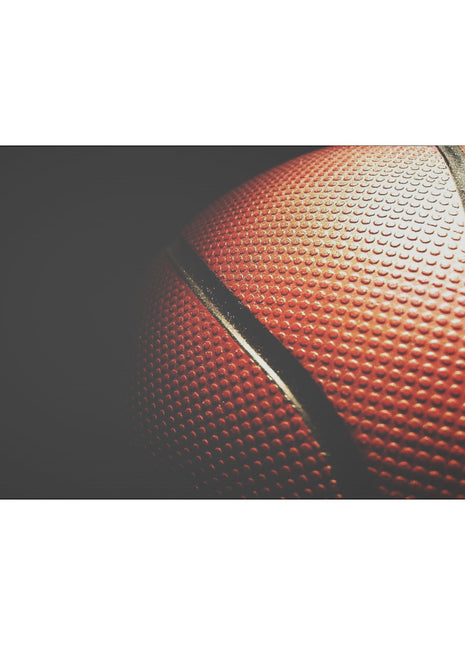 Basketball Art | Acrylic, Metal & Canvas - Snapping Turtle Gallery
