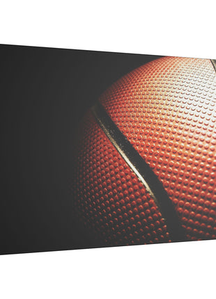 Basketball Art | Acrylic, Metal & Canvas - Snapping Turtle Gallery
