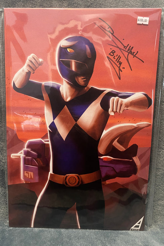 Old School Mighty Morphin Power Rangers Blue Ranger 12x18 Canvas signed by David Yost - Snapping Turtle Gallery