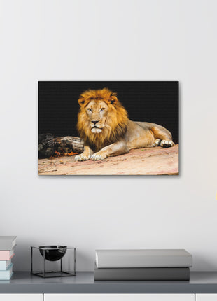 Lion Art | Acrylic, Metal & Canvas - Snapping Turtle Gallery