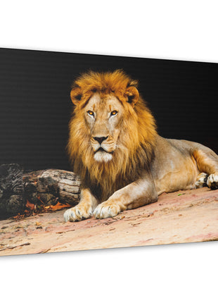 Lion Art | Acrylic, Metal & Canvas - Snapping Turtle Gallery
