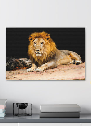 Lion Art | Acrylic, Metal & Canvas - Snapping Turtle Gallery