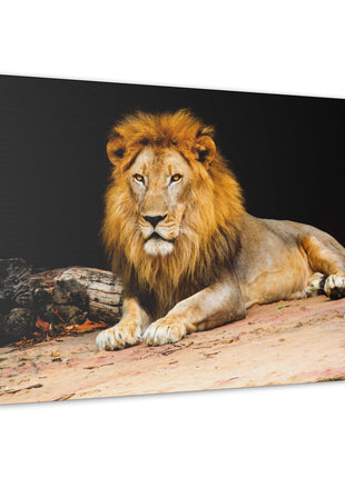 Lion Art | Acrylic, Metal & Canvas - Snapping Turtle Gallery
