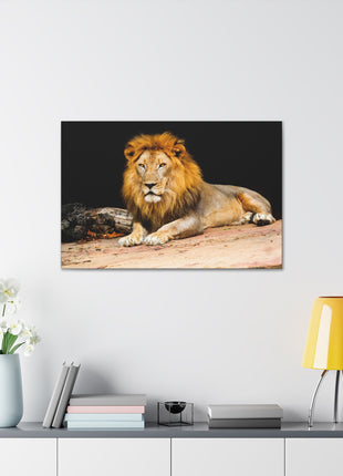 Lion Art | Acrylic, Metal & Canvas - Snapping Turtle Gallery