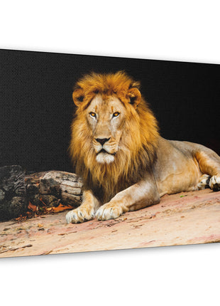 Lion Art | Acrylic, Metal & Canvas - Snapping Turtle Gallery