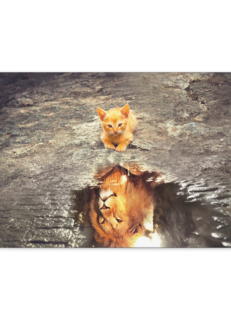 Dream Big – Kitten with Lion Reflection Wall Art | STG Collection [variant_option1] Print, Premium Wall Art by Snapping Turtle Gallery