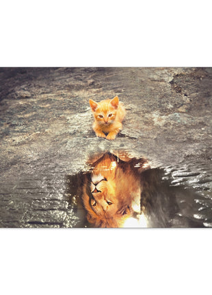 Dream Big – Kitten with Lion Reflection Wall Art | STG Collection - Snapping Turtle Gallery