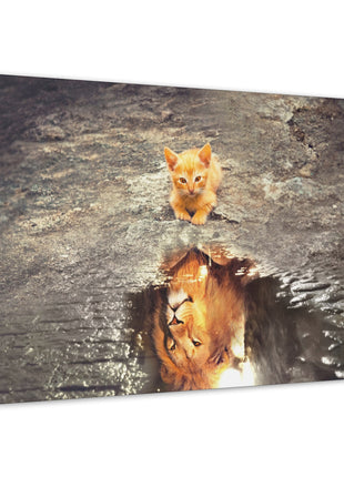 Dream Big – Kitten with Lion Reflection Wall Art | STG Collection - Snapping Turtle Gallery