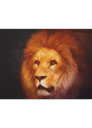 Eternal King – Majestic Lion Wall Art | STG Collection - Snapping Turtle Gallery