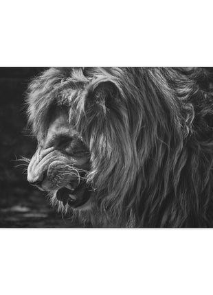 Lion Art | Acrylic, Metal & Canvas, Shop Lion wall art. Premium 3mm acrylic, gloss metal & archival canvas. Ready to hang. Fast US shipping. Order today!, [-Snapping Turtle Gallery