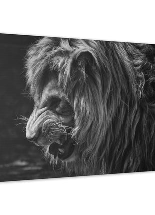 Lion Art | Acrylic, Metal & Canvas, Shop Lion wall art. Premium 3mm acrylic, gloss metal & archival canvas. Ready to hang. Fast US shipping. Order today!, [-Snapping Turtle Gallery
