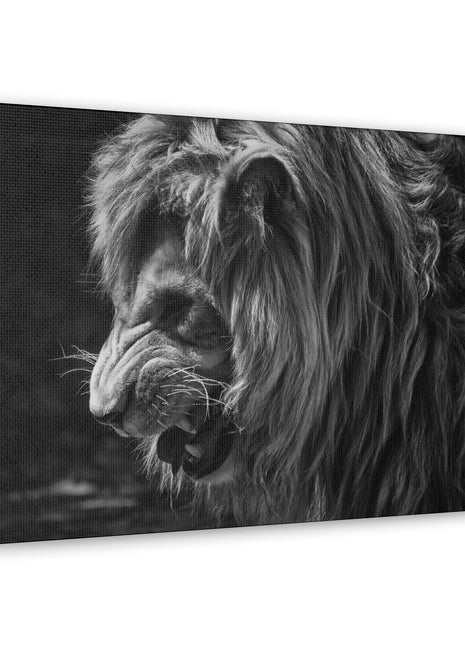Fierce Dominion – Snarling Lion Wall Art | STG Collection [variant_option1] Print, Premium Wall Art by Snapping Turtle Gallery