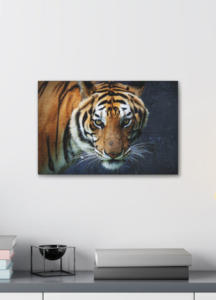 Fierce Focus – Majestic Tiger Headshot Wall Art | STG Collection - Snapping Turtle Gallery