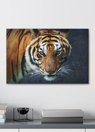Fierce Focus – Majestic Tiger Headshot Wall Art | STG Collection - Snapping Turtle Gallery