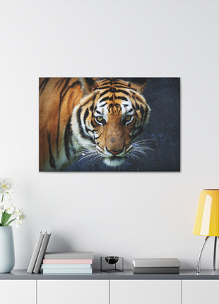 Fierce Focus – Majestic Tiger Headshot Wall Art | STG Collection - Snapping Turtle Gallery