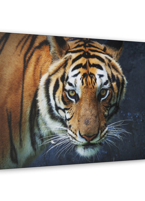 Fierce Focus – Majestic Tiger Headshot Wall Art | STG Collection - Snapping Turtle Gallery