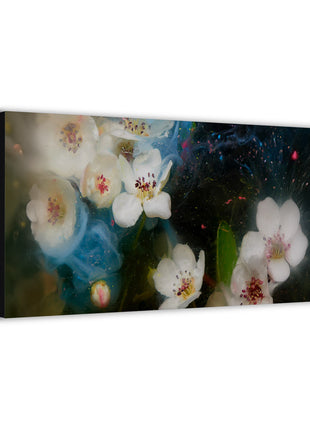 Floral Wall Art | Bloom in Suspension HD Acrylic, Metal & Canvas Print - Snapping Turtle Gallery