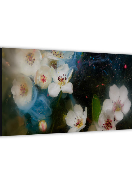 Floral Wall Art | Bloom in Suspension HD Acrylic, Metal & Canvas Print - Snapping Turtle Gallery