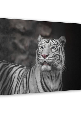 Ghost Stripes – White Tiger Wall Art | STG Collection - Snapping Turtle Gallery