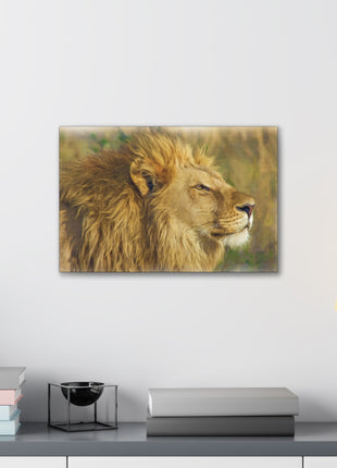 Golden Guardian – Lion with Radiant Mane Wall Art | STG Collection - Snapping Turtle Gallery