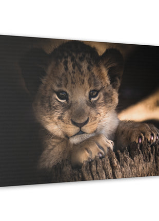 Innocence of the Wild – Lion Cub Wall Art | STG Collection [variant_option1] Print, Premium Wall Art by Snapping Turtle Gallery