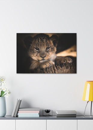 Innocence of the Wild – Lion Cub Wall Art | STG Collection [variant_option1] Print, Premium Wall Art by Snapping Turtle Gallery