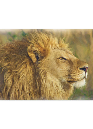 King of the Plains – Lion in the Savanna Wall Art | STG Collection - Snapping Turtle Gallery
