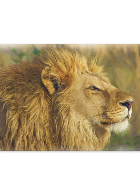 King of the Plains – Lion in the Savanna Wall Art | STG Collection - Snapping Turtle Gallery