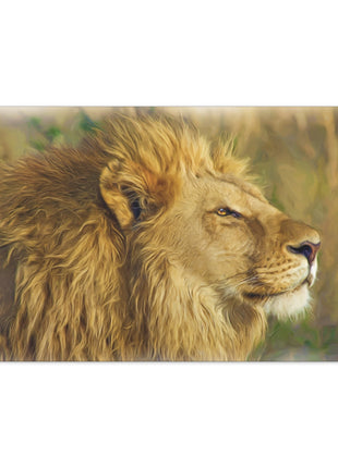 King of the Plains – Lion in the Savanna Wall Art | STG Collection - Snapping Turtle Gallery