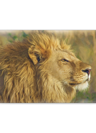 King of the Plains – Lion in the Savanna Wall Art | STG Collection - Snapping Turtle Gallery