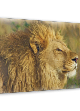 King of the Plains – Lion in the Savanna Wall Art | STG Collection - Snapping Turtle Gallery