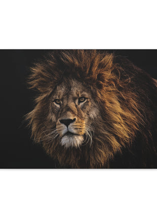 Majestic King – Big Lion Wall Art | STG Collection - Snapping Turtle Gallery