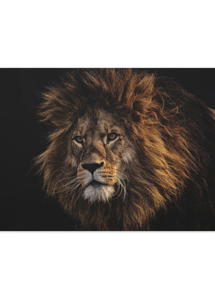 Majestic King – Big Lion Wall Art | STG Collection - Snapping Turtle Gallery