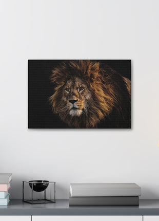 Majestic King – Big Lion Wall Art | STG Collection - Snapping Turtle Gallery