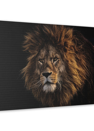Majestic King – Big Lion Wall Art | STG Collection - Snapping Turtle Gallery
