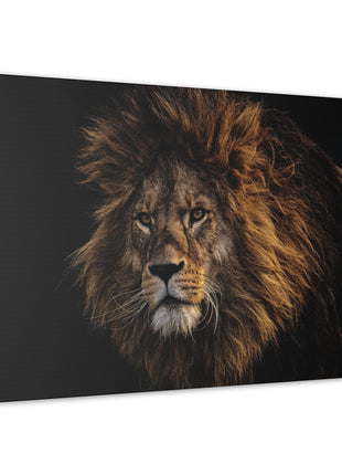 Majestic King – Big Lion Wall Art | STG Collection - Snapping Turtle Gallery