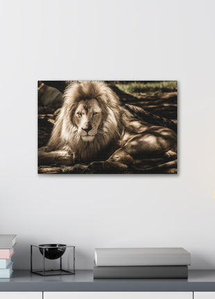 Monarch’s Rest – Great Lion Under a Tree Wall Art | STG Collection [variant_option1] Print, Premium Wall Art by Snapping Turtle Gallery