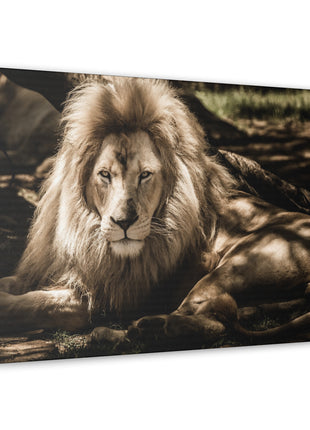 Monarch’s Rest – Great Lion Under a Tree Wall Art | STG Collection [variant_option1] Print, Premium Wall Art by Snapping Turtle Gallery