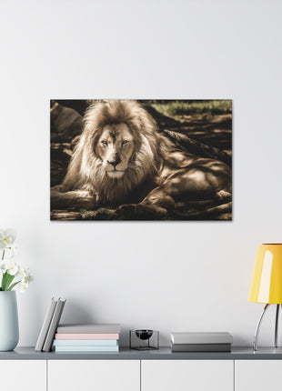 Monarch’s Rest – Great Lion Under a Tree Wall Art | STG Collection [variant_option1] Print, Premium Wall Art by Snapping Turtle Gallery