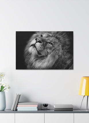 Monochrome Majesty – Black and White Lion Wall Art | STG Collection - Snapping Turtle Gallery