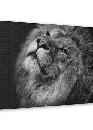 Monochrome Majesty – Black and White Lion Wall Art | STG Collection - Snapping Turtle Gallery