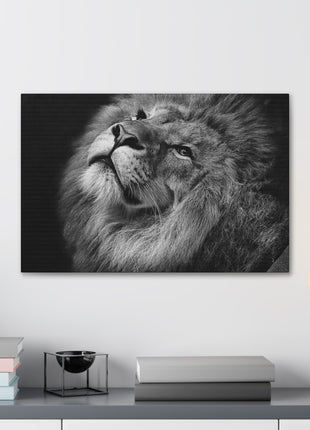 Monochrome Majesty – Black and White Lion Wall Art | STG Collection - Snapping Turtle Gallery
