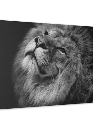 Monochrome Majesty – Black and White Lion Wall Art | STG Collection - Snapping Turtle Gallery