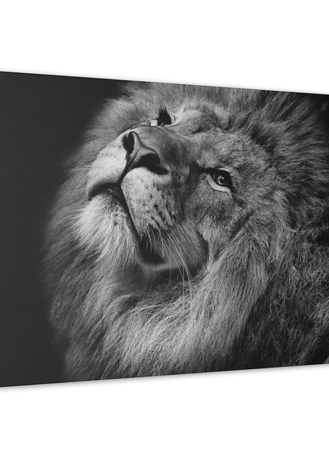 Monochrome Majesty – Black and White Lion Wall Art | STG Collection [variant_option1] Print, Premium Wall Art by Snapping Turtle Gallery