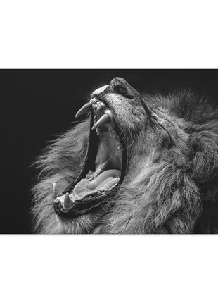 Monochrome Roar – Black & White Lion Wall Art | STG Collection - Snapping Turtle Gallery