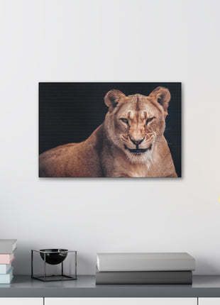 Queen of the Wild – Female Lion Wall Art | STG Collection - Snapping Turtle Gallery