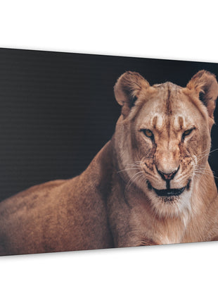 Queen of the Wild – Female Lion Wall Art | STG Collection - Snapping Turtle Gallery