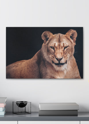 Queen of the Wild – Female Lion Wall Art | STG Collection - Snapping Turtle Gallery