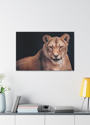 Queen of the Wild – Female Lion Wall Art | STG Collection - Snapping Turtle Gallery