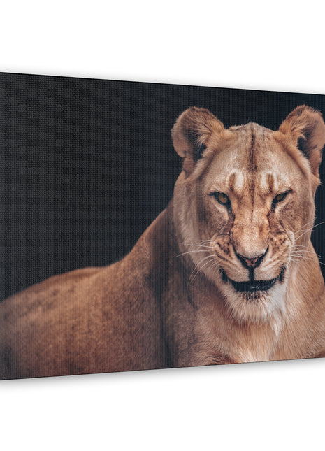 Queen of the Wild – Female Lion Wall Art | STG Collection [variant_option1] Print, Premium Wall Art by Snapping Turtle Gallery